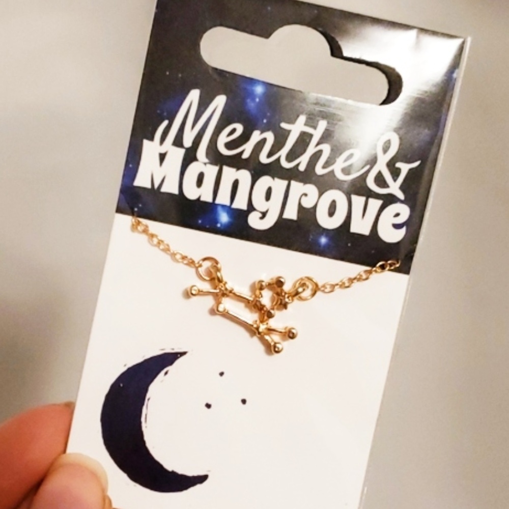 🏷 leo constellation necklace
